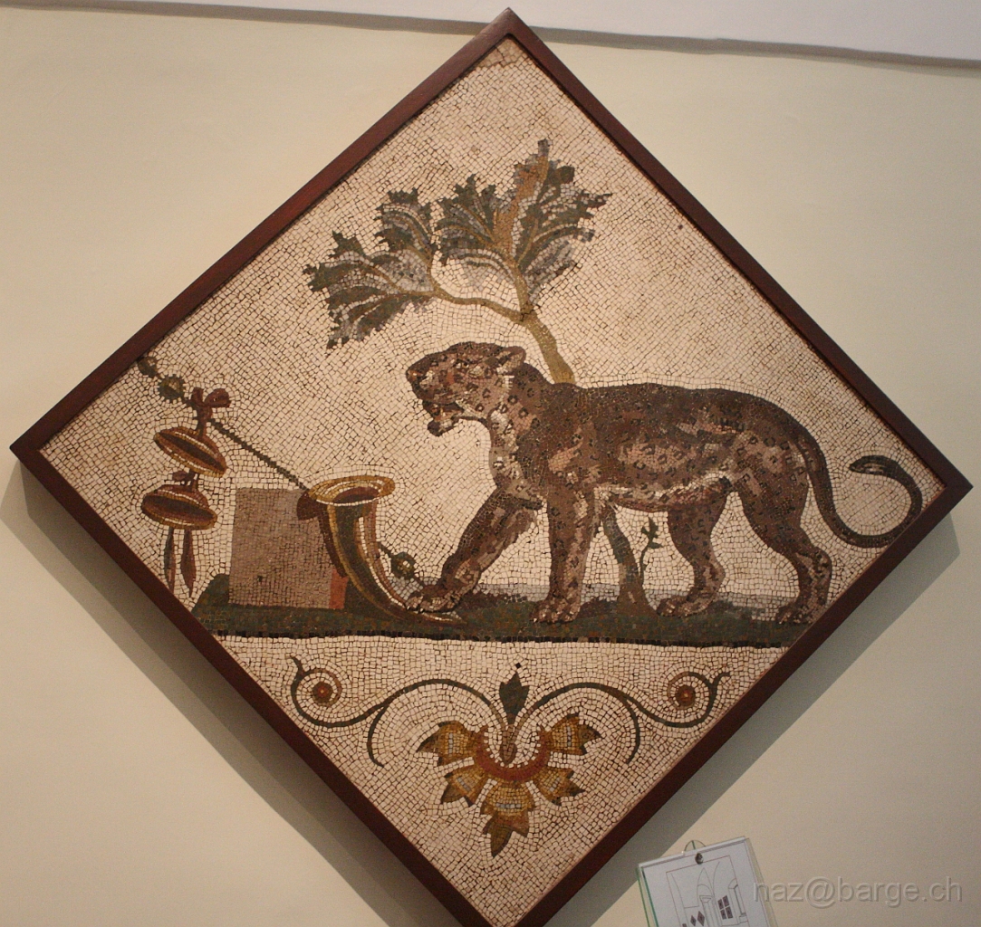 EOS 40D03_05_20120203.JPG